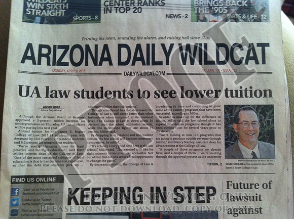 Arizona_Wildcat (1)