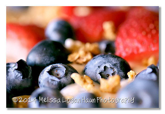 20140102_365_Fruit