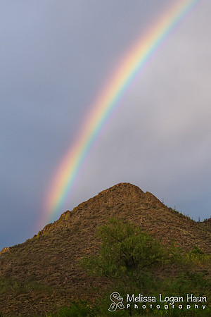 Monsoon
